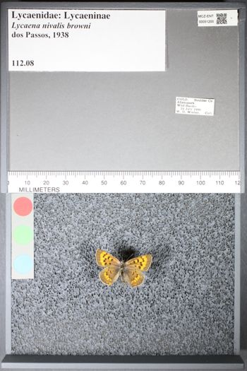 Media type: image;   Entomology 51200